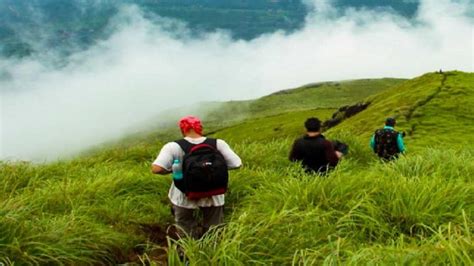 Best Places for Trekking in Wayanad | Trawell.in Blog