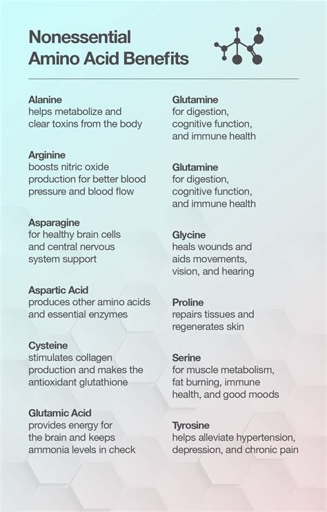 What are the non essential amino acids and their functions? [2022 ...