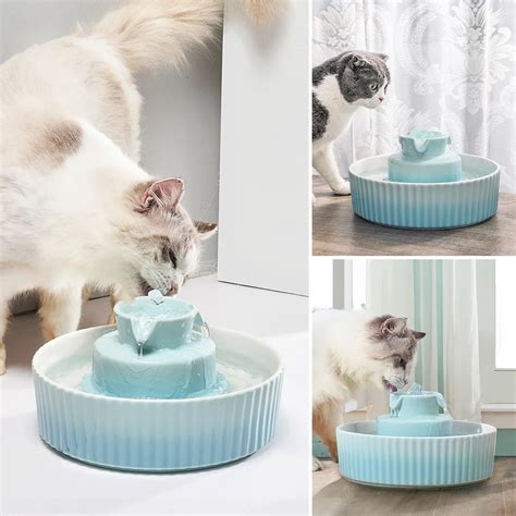 Best Water Fountain For Flat Faced Cats - CAT DKO