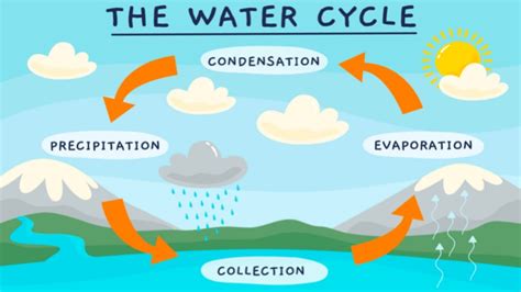 G2Term2GeneralScience: Science and Technology: Water Cycle