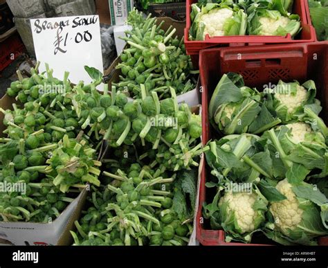 Conwy Feast Conwy Food and Drink Festival Stock Photo - Alamy