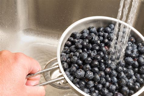 How to Wash Blueberries to Clean & Remove Pesticides! | The Nourished Life