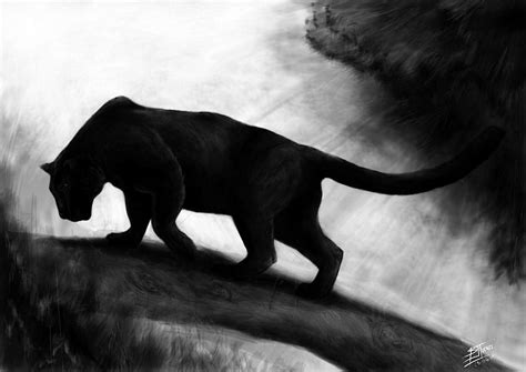 Dark Black Panther Animal HD wallpaper | Pxfuel