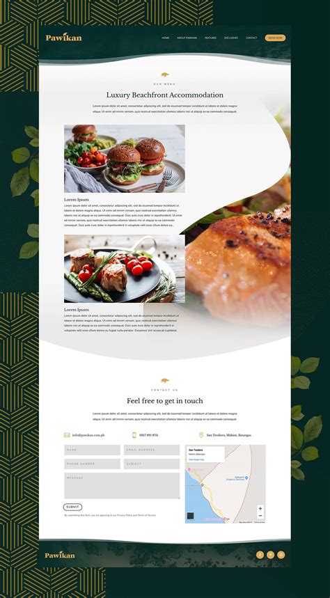 Pawikan Website Design on Behance