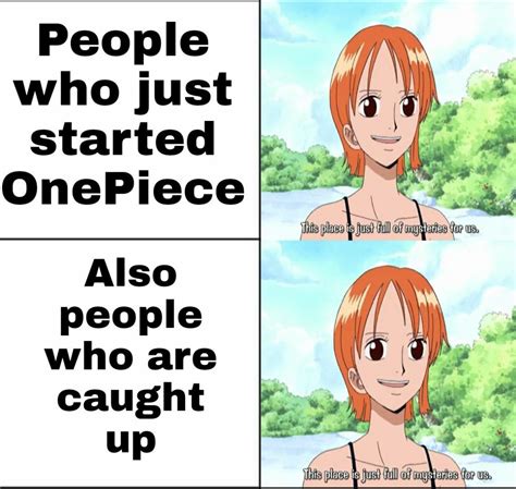 15 One Piece Memes : Creative Memes Updated for 2023