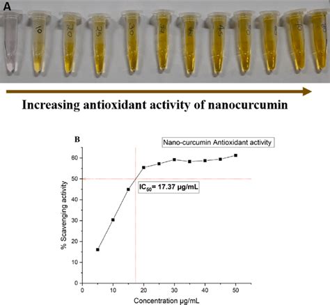 (A) DPPH assay using nanocurcumin for antioxidant properties and (B ...