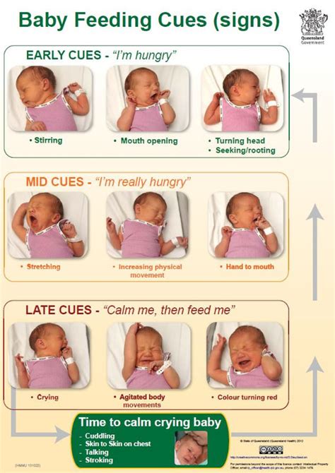 How to tell if your newborn is hungry - a visual guide for parents