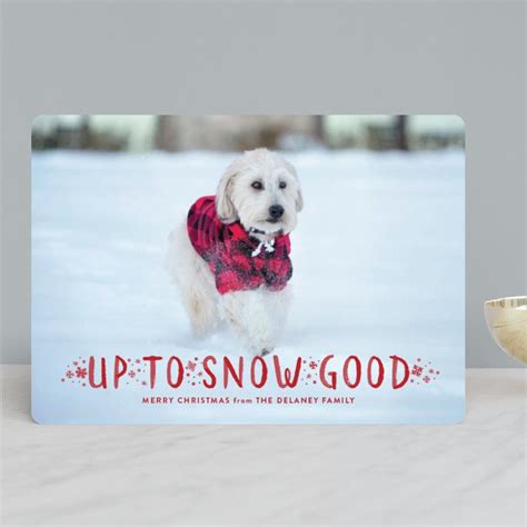 Best Pet Holiday Cards | Dog Lover Christmas Photo Cards | GreatGets.com