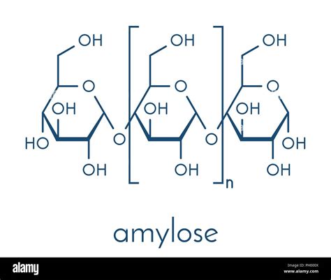 Amylose polysaccharide polymer Stock Vector Images - Alamy