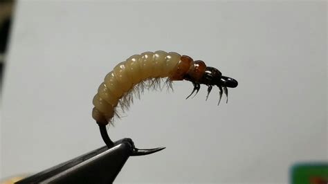 D. Hise caddis larva | Fly fishing flies pattern, Caddis, Fly tying ...