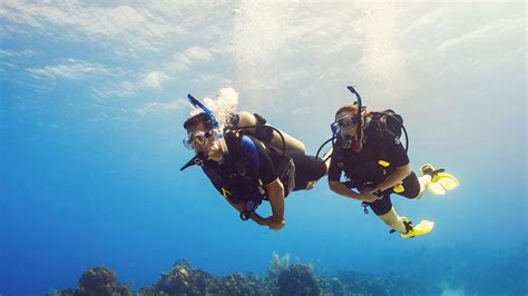 The 32 Best Ambergris Caye Dive Sites - Ambergris Divers