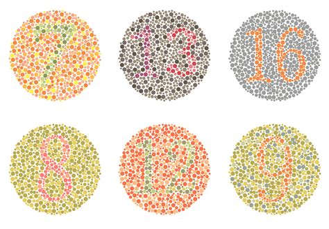 Color Blindness: A Comprehensive Guide | MyVision.org