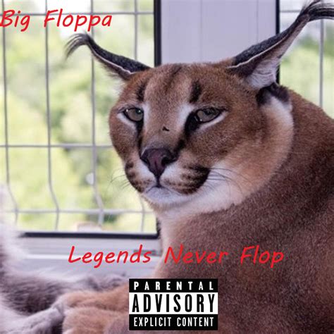 Big floppa – Yung Floppa (Intro) Lyrics | Genius Lyrics