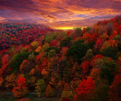 2017 Fall Foliage in Western North Carolina - Asheville.com