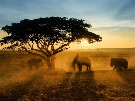 Shake Dust Landscape Photography By National Geographic 1