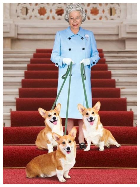 10 Must-Knows About The Queen’s Favorite Corgi Dogs | Metro.Style