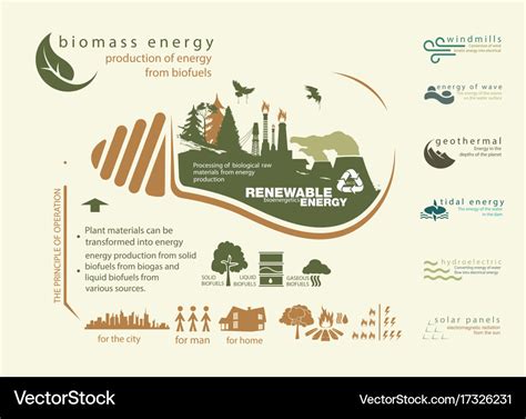 Infographics renewable source of biomass energy Vector Image