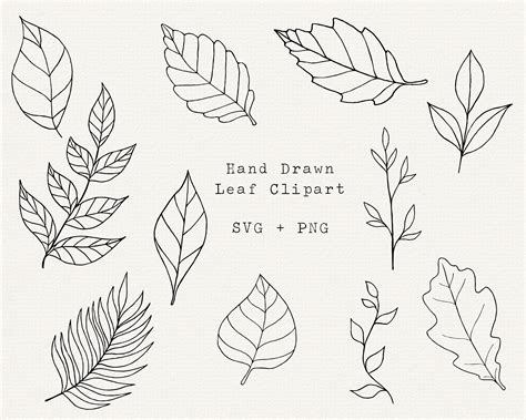 Blatt SVG Bundle Blätter SVG Clipart Blatt einfache Umriss | Etsy