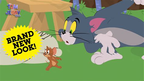 Tom jerry cartoon - trendsgost