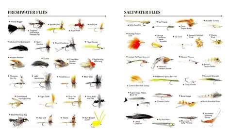 Types Of Fish Bait - Fish Choices