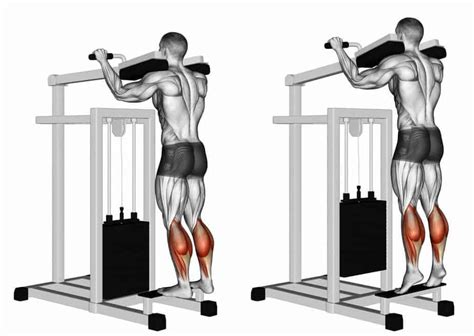 The Benefits of Standing Calf Raises and How to Do Them