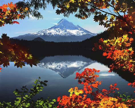 USA, Oregon, Mt Hood National Forest Photograph by Jaynes Gallery - Pixels