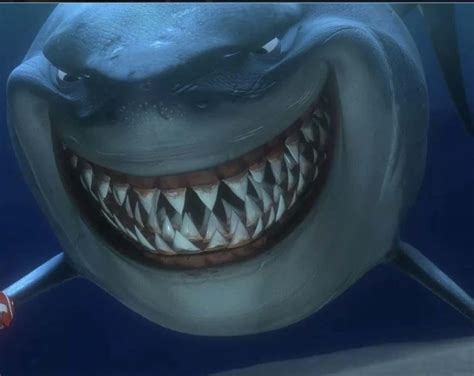 12 - Sharks Do Have Rows of Teeth, Like Bruce in 'Finding Nemo' - Top ...