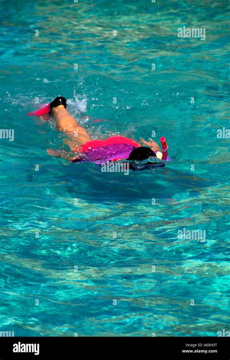 Snorkeling Ambergris Caye Belize Stock Photo - Alamy