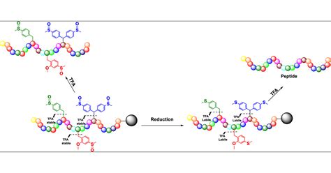 Sustainability Challenges In Peptide Synthesis And, 41% OFF