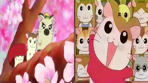 Hamtaro 1999 Japanese Opening Song - Tottoko Hamutaro♡•.:* Chords ...