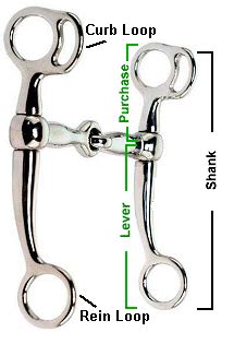 Curb w Snaffle Mouth – Horse-Pros.com