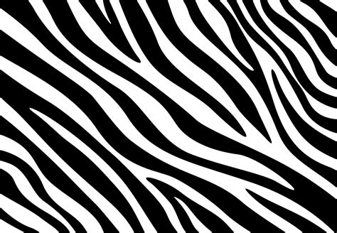 Zebra Print, Zebra Spots, Zebra Patterns Graphic by Rujstock · Creative ...