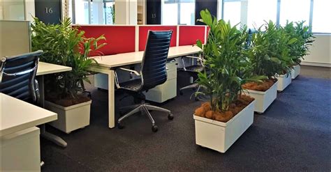 The Latest Office Trends & Plant Designs | The Plant Man