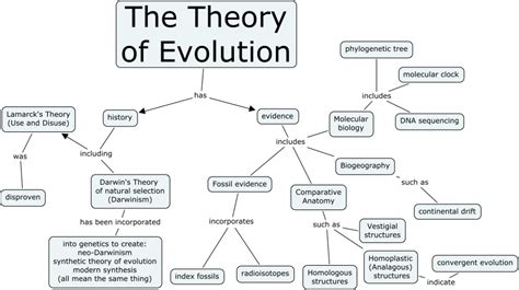 theory of evolution