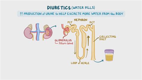 Diuretics - Osmotic & carbonic anhydrase inhibitors: Nursing ...