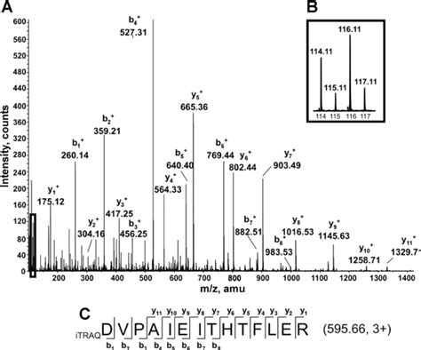 Example of tandem mass spectrometry (MS/MS) spectrum of an isobaric tag ...