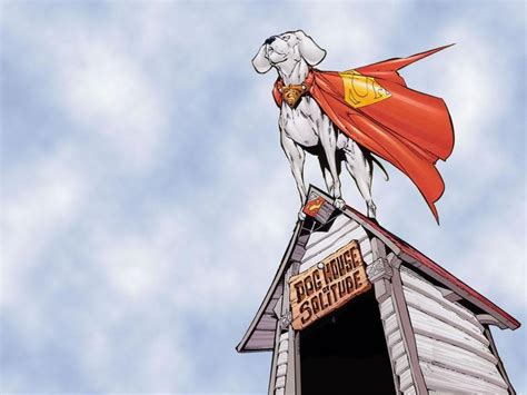 Krypto el super perro Krypto the super dog | Superman comic, Batman and ...