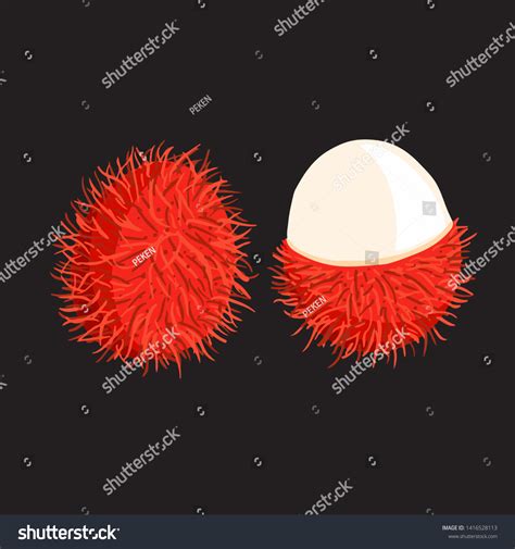 1,462 Rambutan cartoon Images, Stock Photos & Vectors | Shutterstock