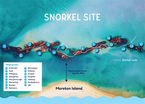 How did the Tangalooma Wrecks get to Moreton Island? - See Moreton