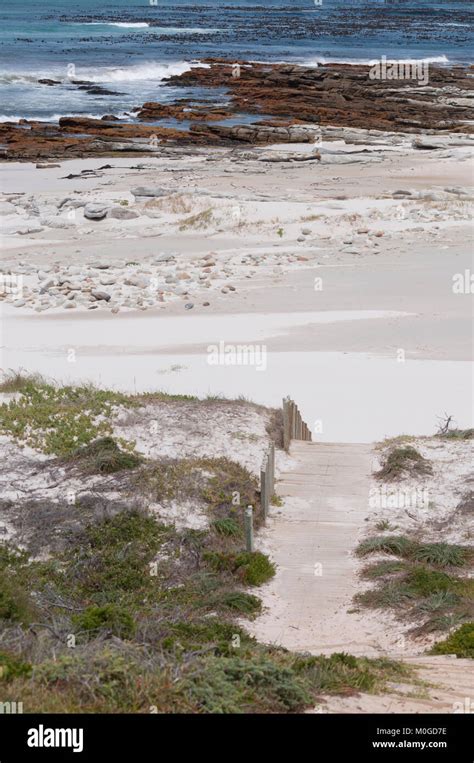 Cape Of Good Hope Beach Stock Photo - Alamy