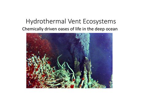 Hydrothermal vents lecture - Hydrothermal Vent Ecosystems Chemically ...