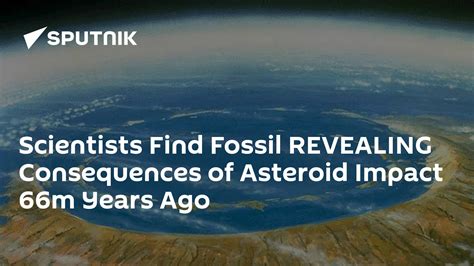 Scientists Find Fossil REVEALING Consequences of Asteroid Impact 66m ...