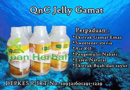 QnC Jelly Gamat | by Rifky Fauzi | Medium