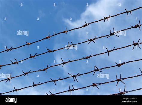 Barb wire fence and blue sky blackground Stock Photo - Alamy