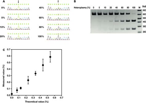 Lower limit of detection of m.3243A>G mutation. Polymerase chain ...