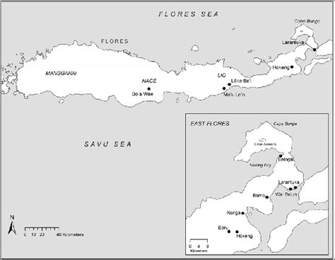 Map of Flores Island with inset map of East Flores. | Download ...