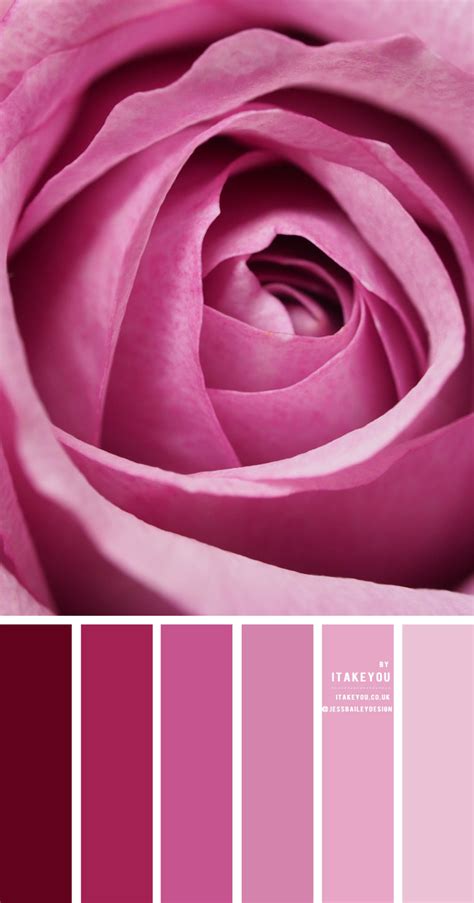 Shades of Pink Colour Combination - Pink Color Names | itakeyou.co.uk