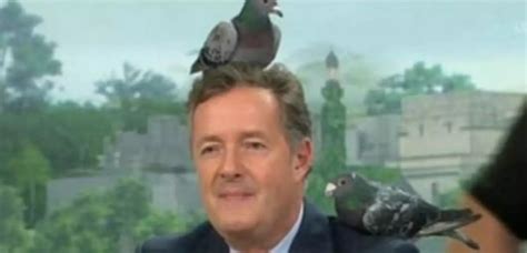 Piers Morgan forced to deny he is the pigeon lady from Home Alone ...