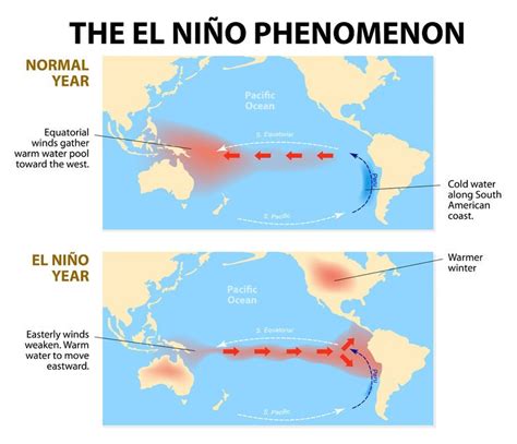 Why India is watching the El Niño forecast with bated breath - INSIGHTS ...