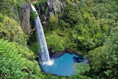 New Zealand Eco Lodges-Tours-Sustainable Eco Directory